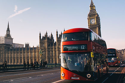 bus