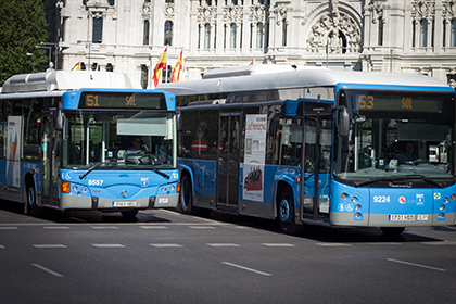 buses